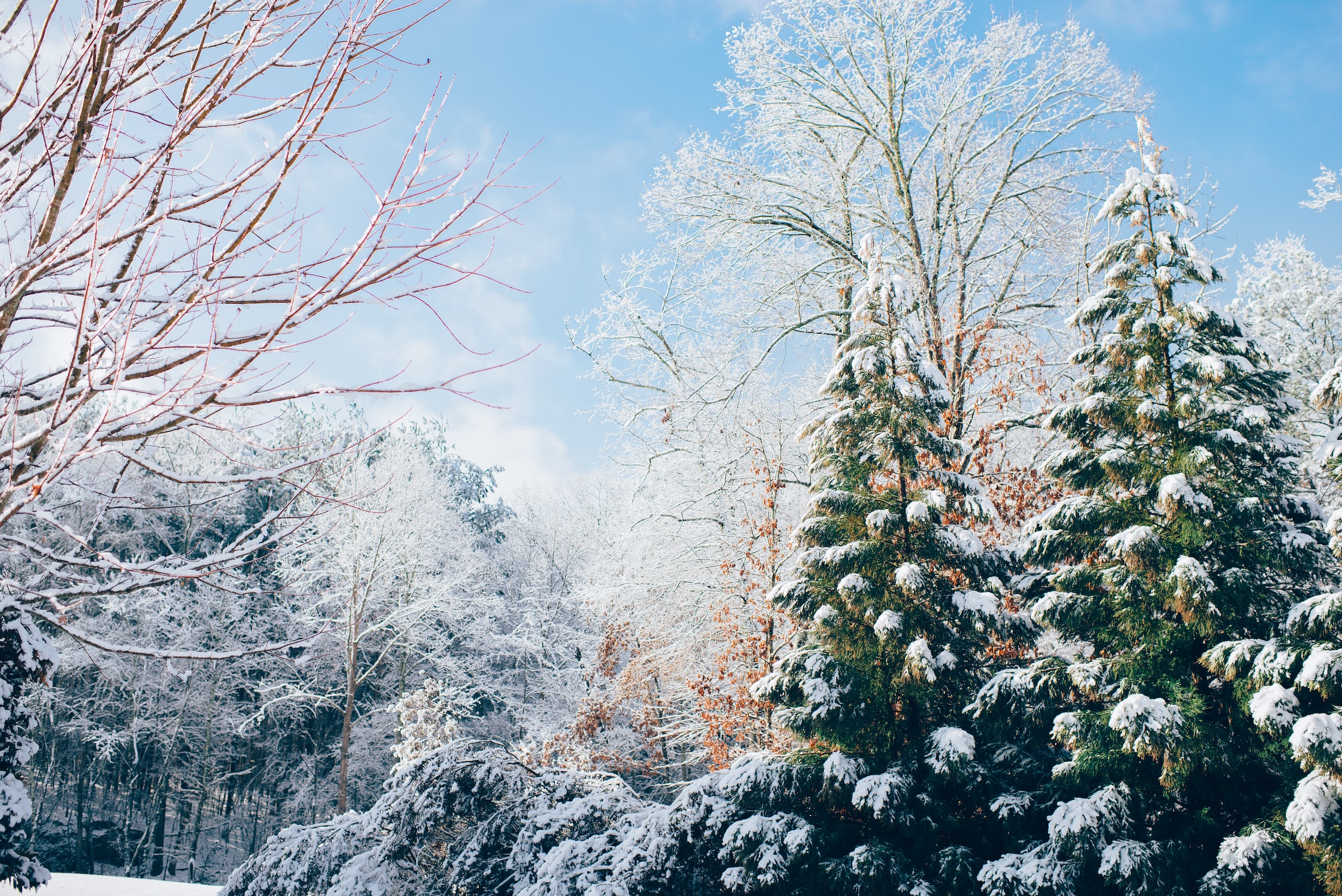 Four Winter-Weather Safety Tips
